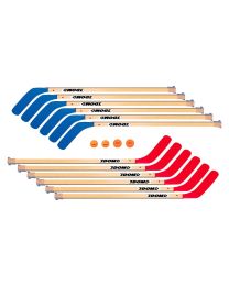 Conjunto de hockey sticks DOM Gain + pelotas + pastillas