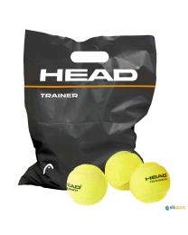 Pelota tenis Head Trainer