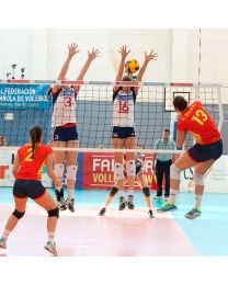 Red voleibol competición