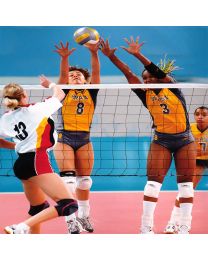Red voleibol competición