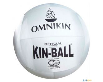 Kin-Ball gris