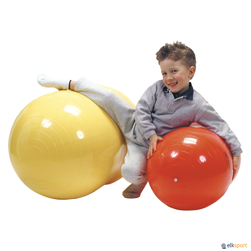 Physio Roll de masaje Gymnic Elk Sport