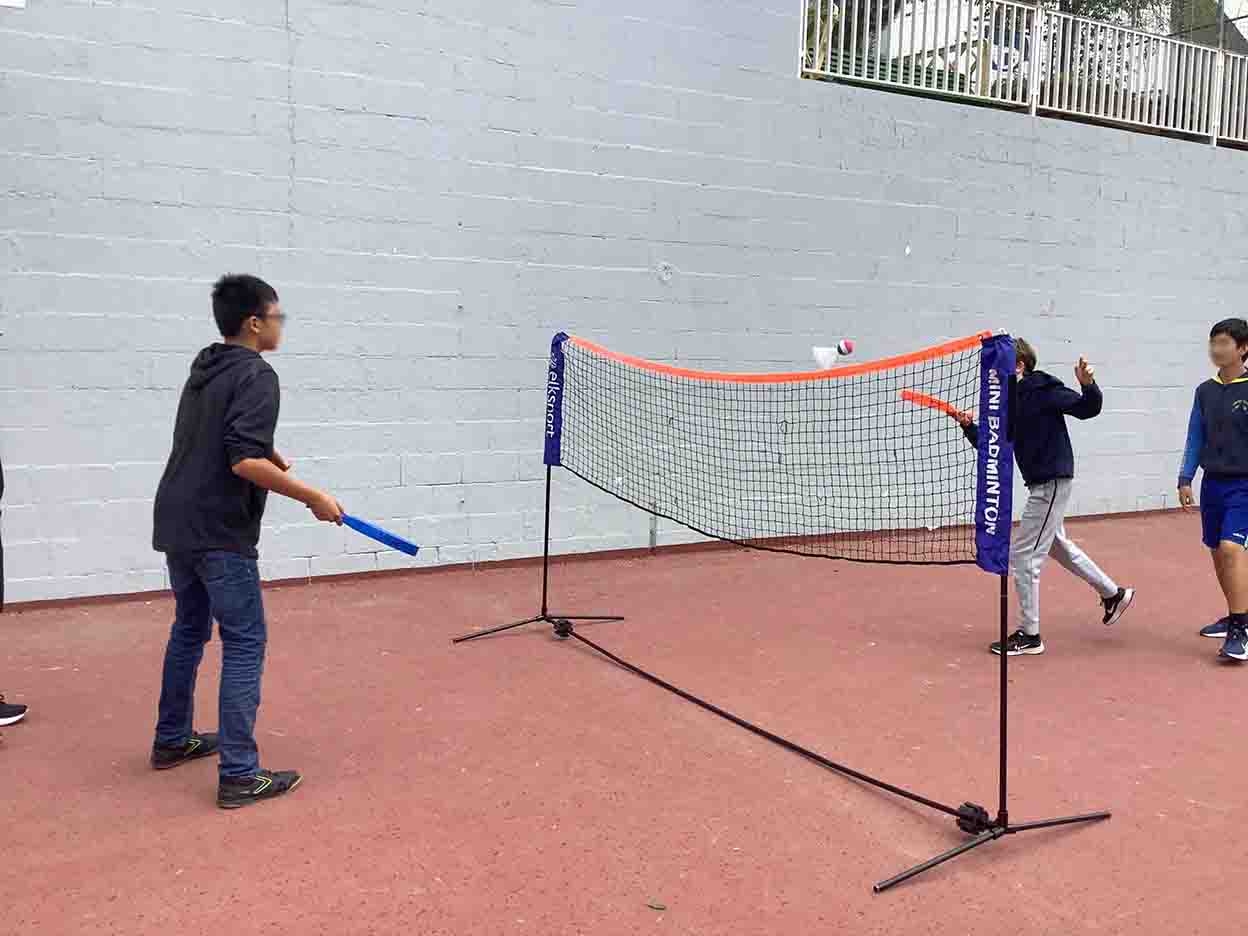 Ideas de juegos Shuttleball