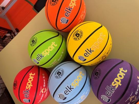 balones de minibasket Elk Sport