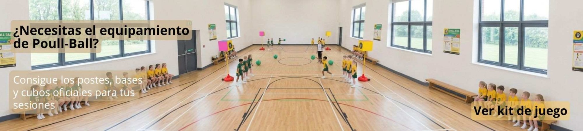 Banner producto Poull Ball Game